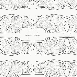 Detail Untitled (organische Erschließung 1959), 2010